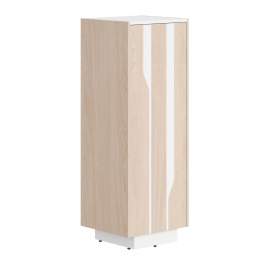 Шкаф СФ-574201